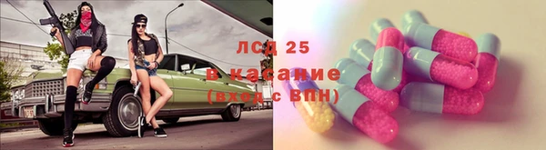 СК Абинск