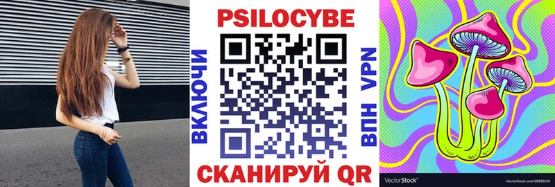 где можно купить наркотик  Оренбург  Псилоцибиновые грибы мицелий 