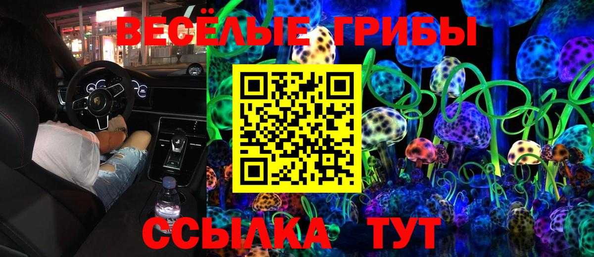 наркота  Вход с VPN  Оренбург  Псилоцибиновые грибы Cubensis 