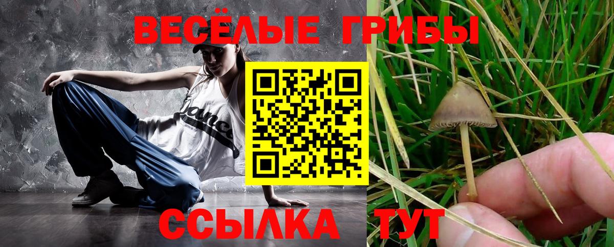 Оренбург  Псилоцибиновые грибы Psilocybine cubensis  Вход с VPN 