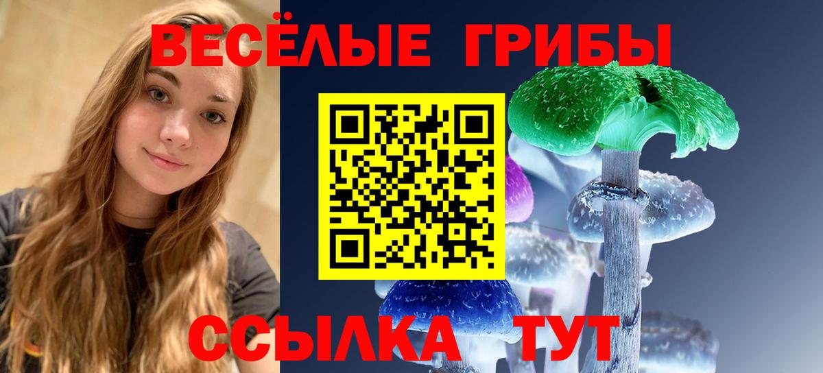 Галлюциногенные грибы мухоморы Оренбург