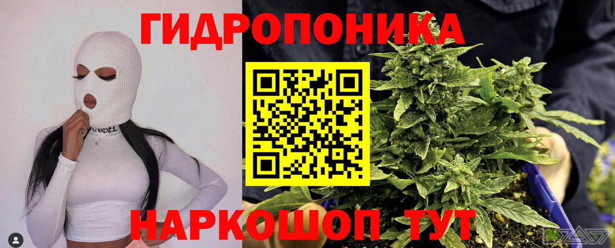 Бошки Шишки индика Оренбург
